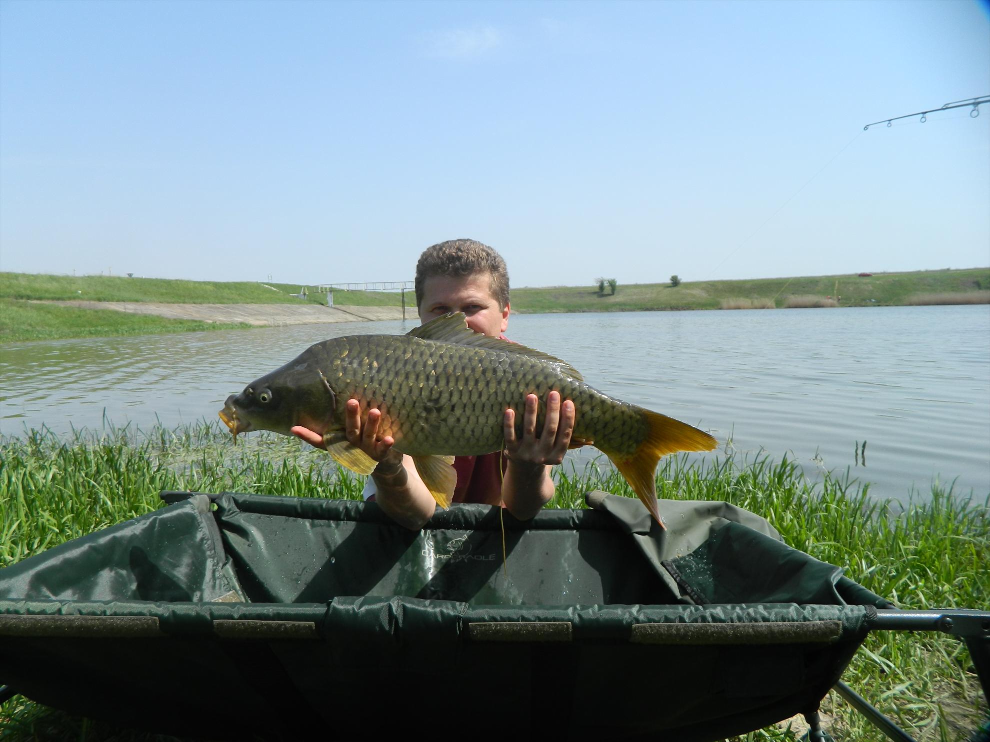 De prin jurul orasului - O torpila de Sisterea. Asa s-a simtit si in dril.